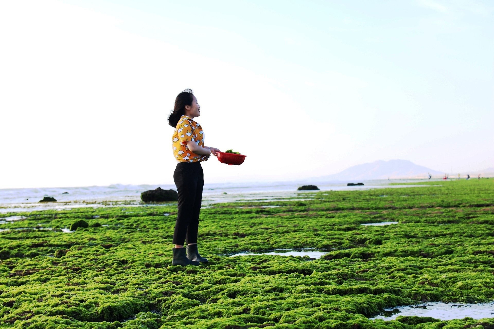 Ninh Thuận: Cánh đồng rêu cực lạ, chỉ xuất hiện 2 lần trong ngày - Ảnh 5. Ninh Thuận: Cánh đồng rêu cực lạ, chỉ xuất hiện 2 lần trong ngày - Ảnh 5.