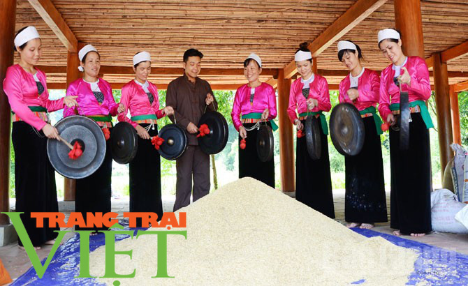Hoà Bình: Đẩy mạnh công tác xây dựng nông thôn mới - Ảnh 7.