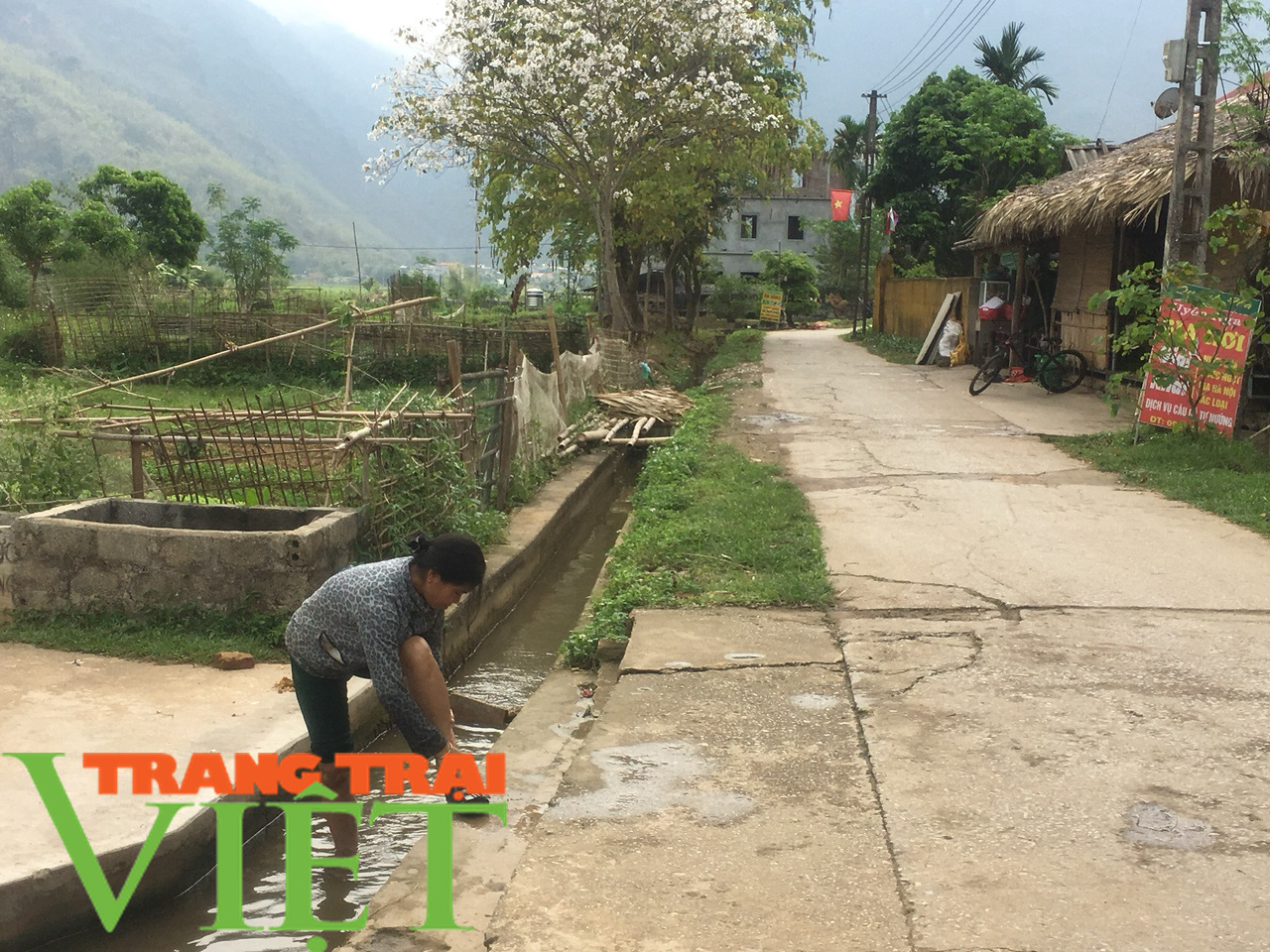 Hoà Bình: Đẩy mạnh công tác xây dựng nông thôn mới - Ảnh 5.
