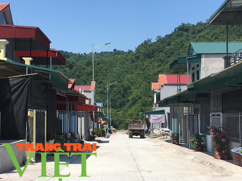 Hoà Bình: Đẩy mạnh công tác xây dựng nông thôn mới - Ảnh 3.