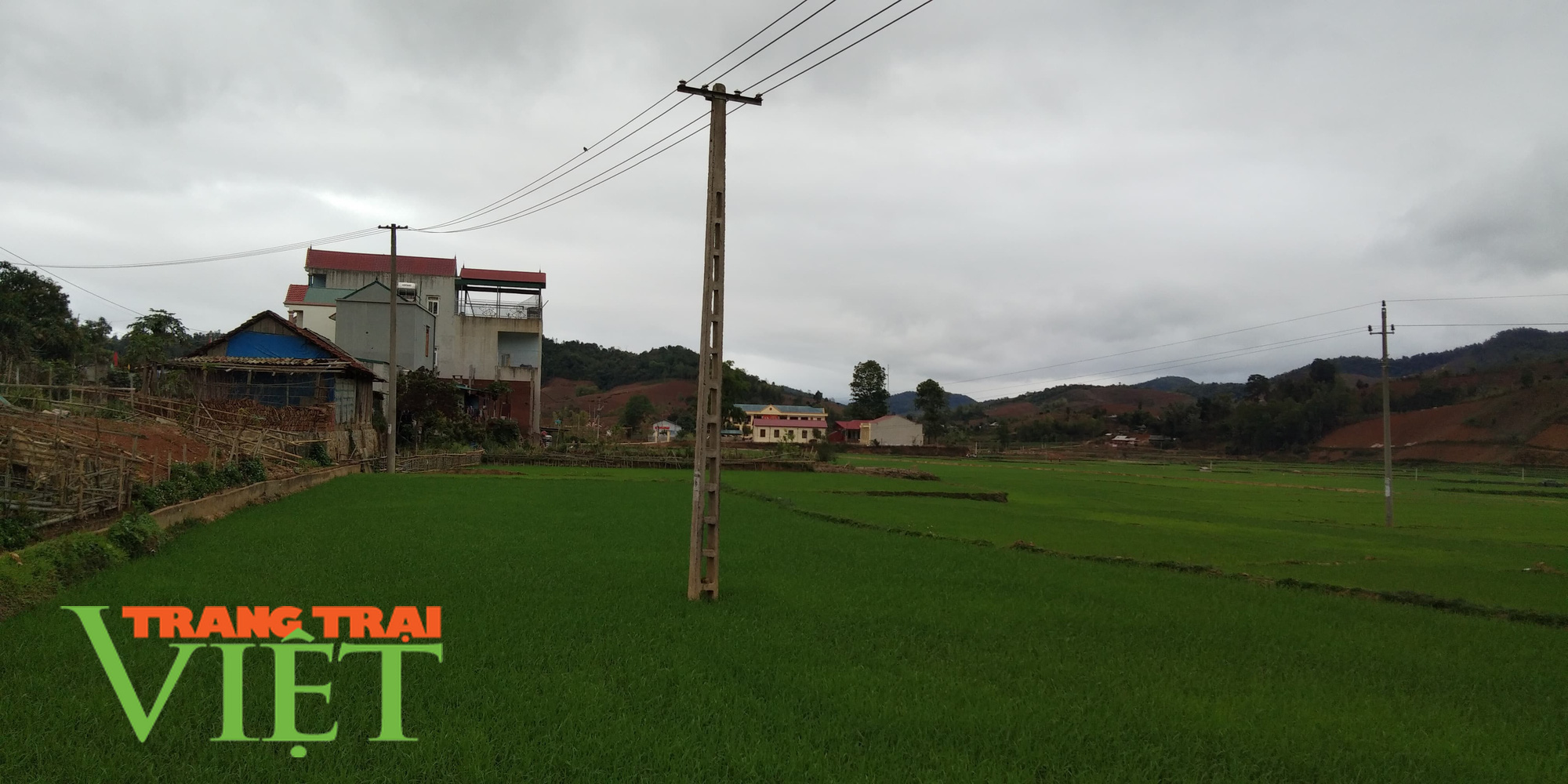 Púng Bánh nỗ lực xây dựng Nông thôn mới - Ảnh 2. Púng Bánh nỗ lực xây dựng Nông thôn mới - Ảnh 2.