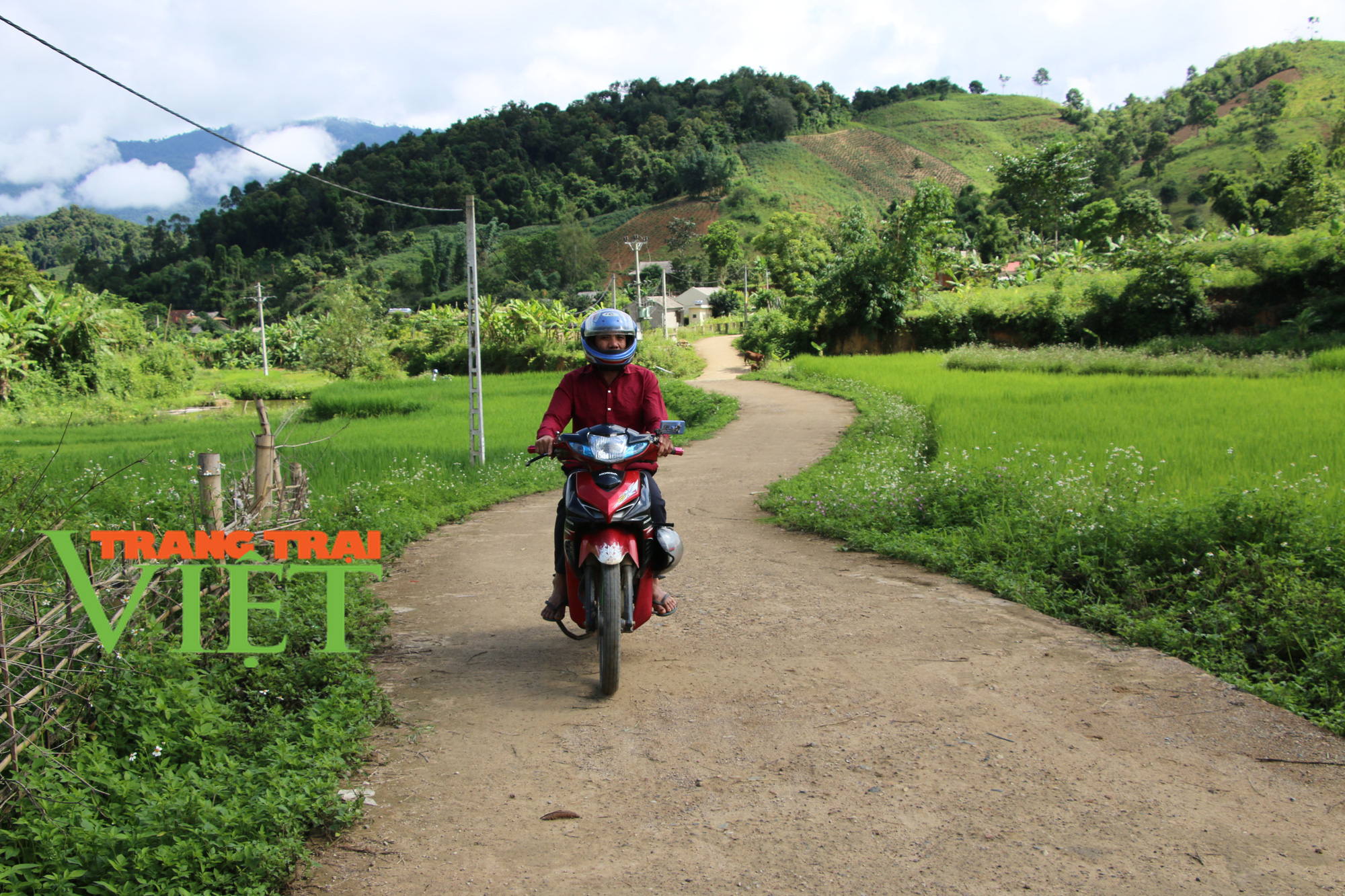 Púng Bánh nỗ lực xây dựng Nông thôn mới - Ảnh 3. Púng Bánh nỗ lực xây dựng Nông thôn mới - Ảnh 3.