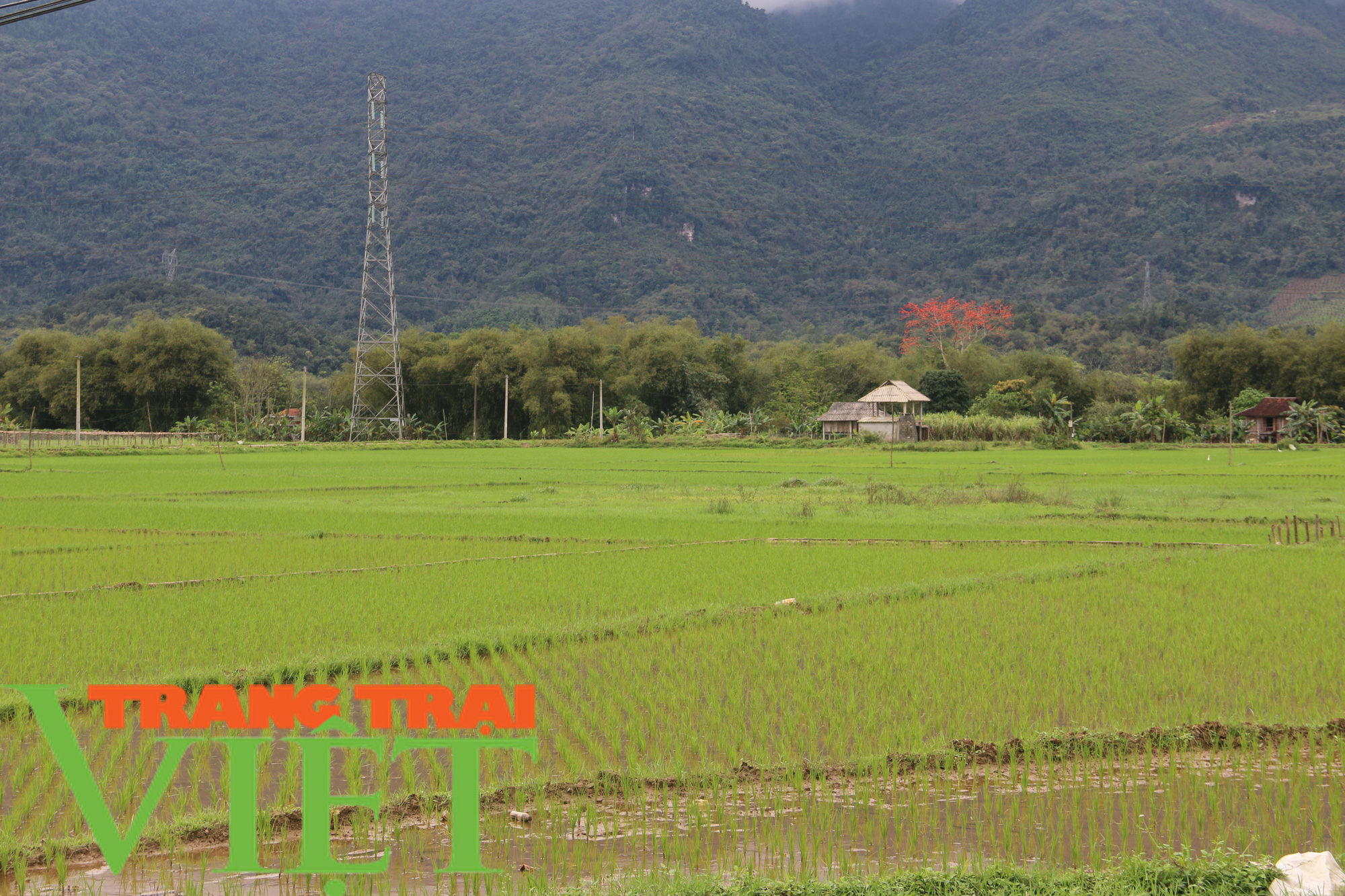 Hoà Bình: Đẩy mạnh công tác xây dựng nông thôn mới - Ảnh 6.