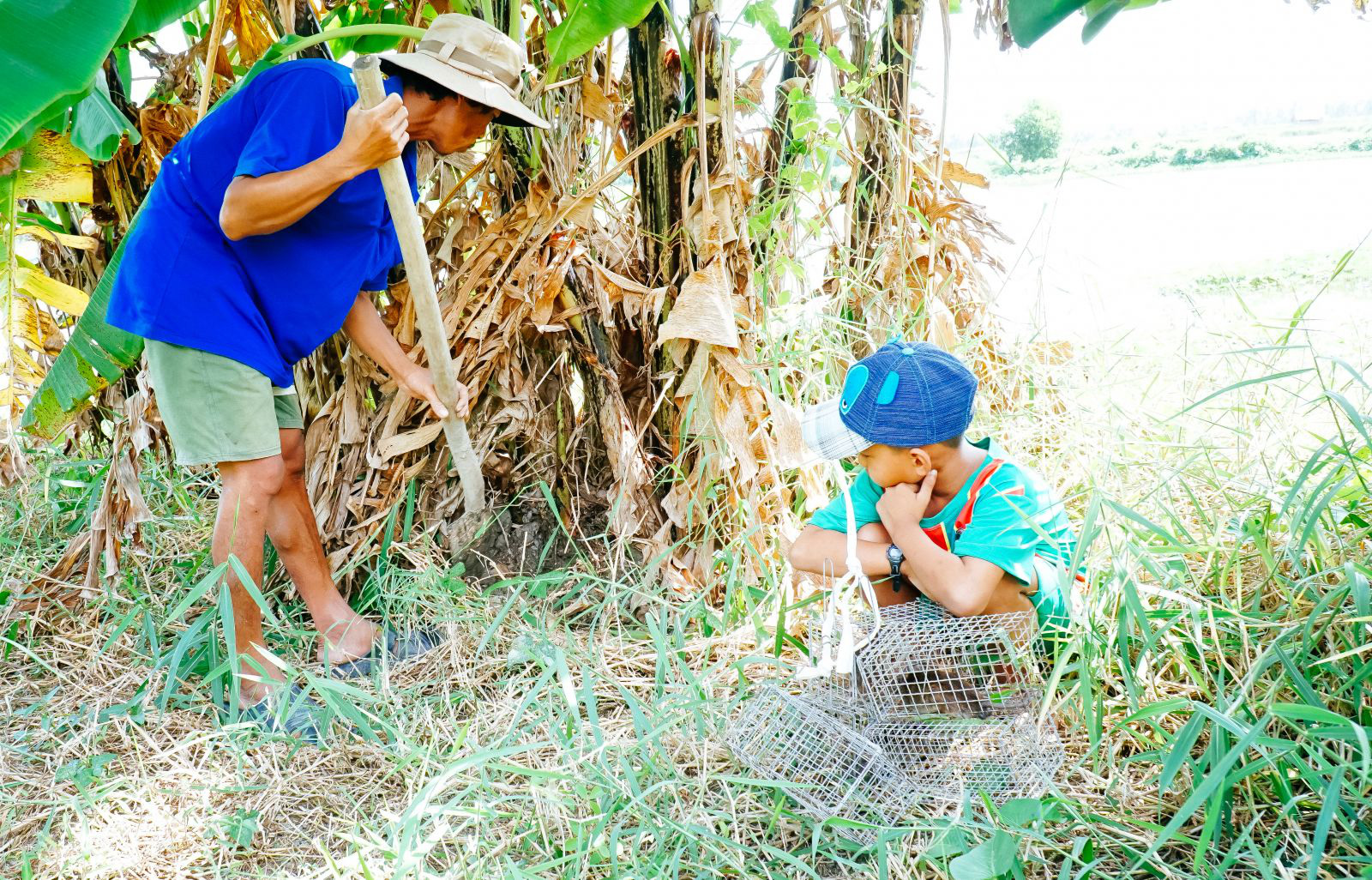 Theo chân cha con anh Chuột săn bắt chuột trên "Đồng Chó Ngáp" - Ảnh 3. Theo chân cha con anh Chuột săn bắt chuột trên "Đồng Chó Ngáp" - Ảnh 3.