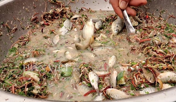 Món cá sống nhảy tanh tách đã ăn được "chế biến" như thế nào? - Ảnh 1. Món cá sống nhảy tanh tách đã ăn được "chế biến" như thế nào? - Ảnh 1.