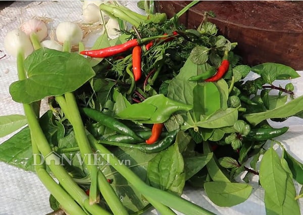 Món cá sống nhảy tanh tách đã ăn được "chế biến" như thế nào? - Ảnh 3. Món cá sống nhảy tanh tách đã ăn được "chế biến" như thế nào? - Ảnh 3.