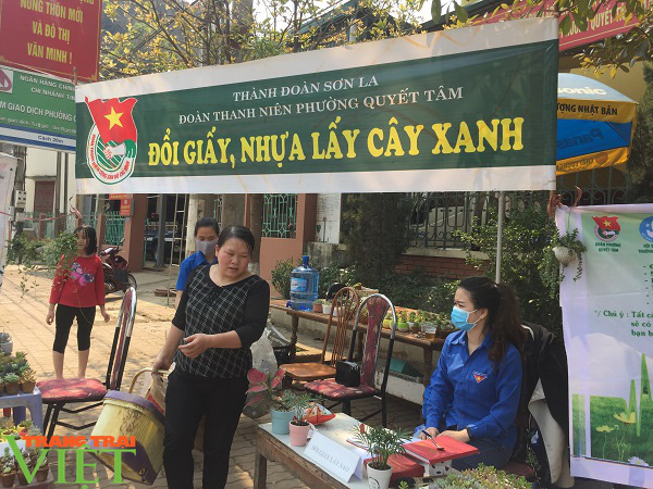 “Đổi giấy, nhựa  lấy cây xanh” – Hành động nhỏ, lợi ích to - Ảnh 4.