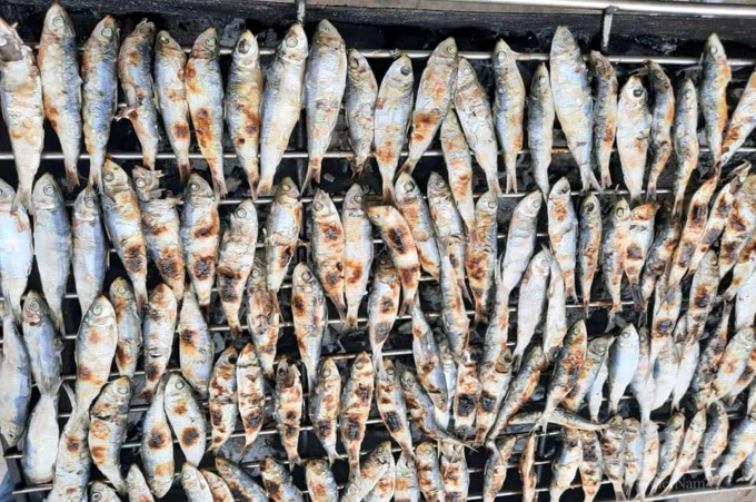 Được mùa cá trích, ngư dân xứ Thanh kiếm tiền triệu mỗi ngày - Ảnh 9. Được mùa cá trích, ngư dân xứ Thanh kiếm tiền triệu mỗi ngày - Ảnh 9.