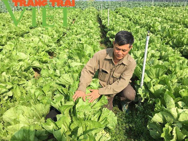 Mộc Châu ứng dụng công nghệ cao vào sản xuất nông nghiệp - Ảnh 3.