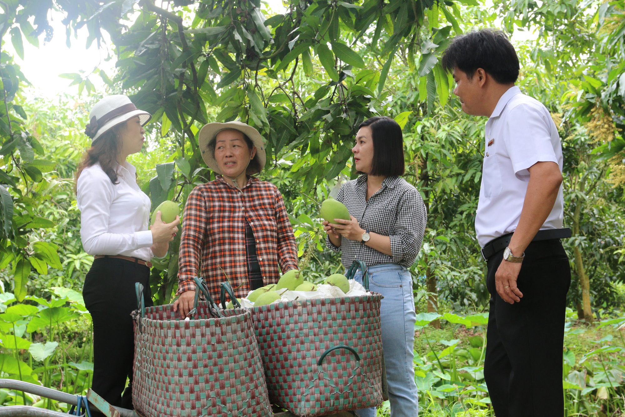 Agribank "tiếp sức" về vốn giúp nông dân đổi đời - Ảnh 2. Agribank "tiếp sức" về vốn giúp nông dân đổi đời - Ảnh 2.