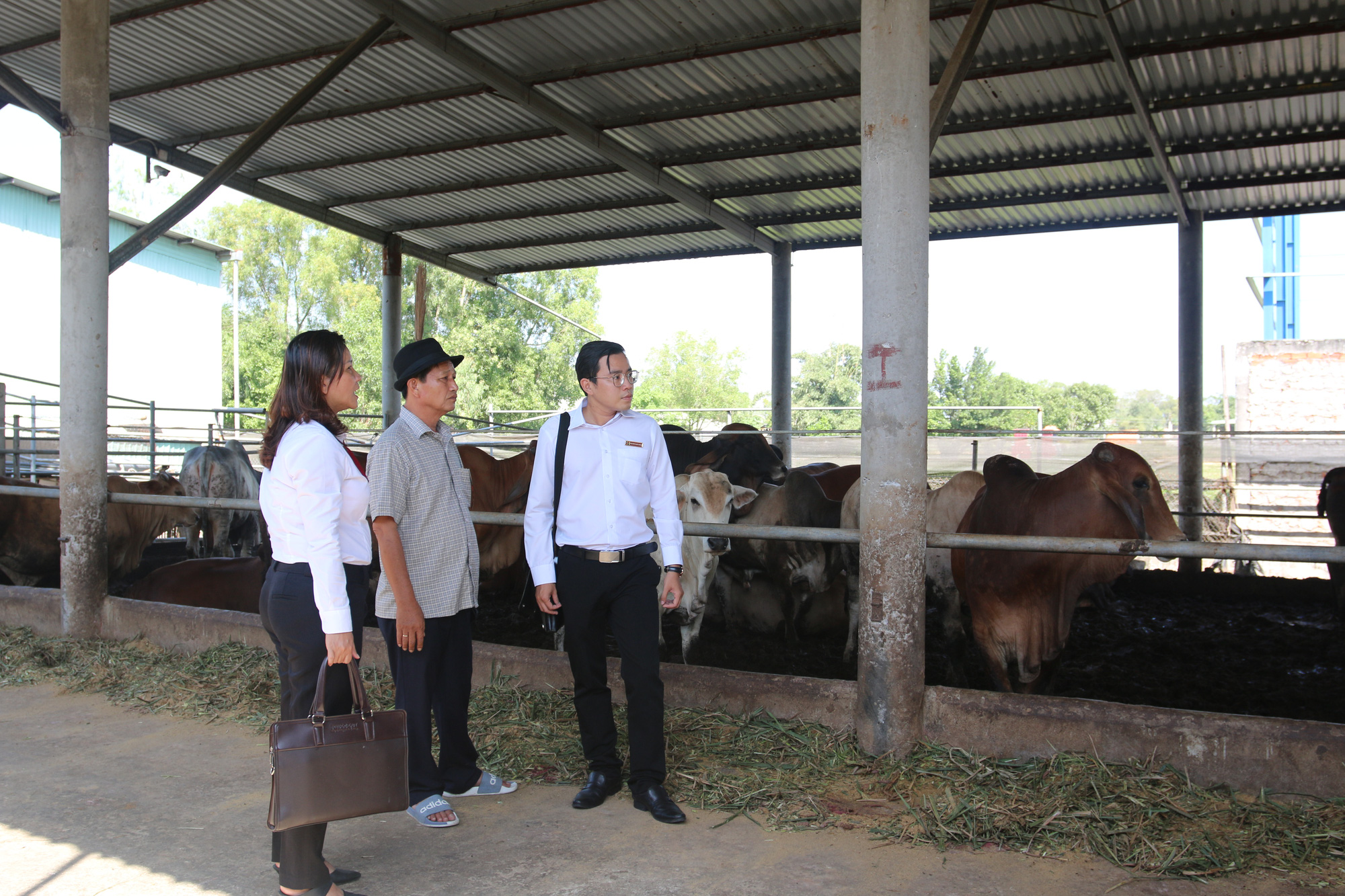 Agribank "tiếp sức" về vốn giúp nông dân đổi đời - Ảnh 1. Agribank "tiếp sức" về vốn giúp nông dân đổi đời - Ảnh 1.