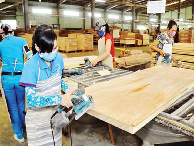 Vì sao gỗ dán Việt Nam bị Mỹ điều tra? - Ảnh 1. Vì sao gỗ dán Việt Nam bị Mỹ điều tra? - Ảnh 1.