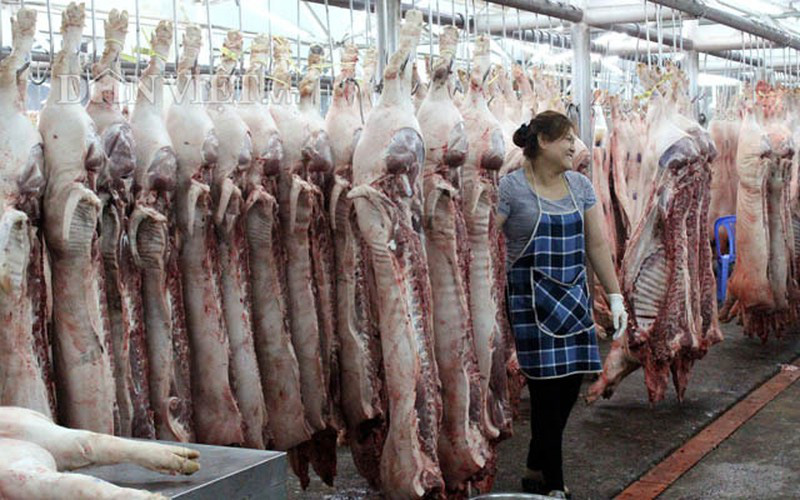 Thủ tướng: Giá lợn hơi tăng cao, yêu cầu 3 Bộ có báo cáo - Ảnh 2. Thủ tướng: Giá lợn hơi tăng cao, yêu cầu 3 Bộ có báo cáo - Ảnh 2.