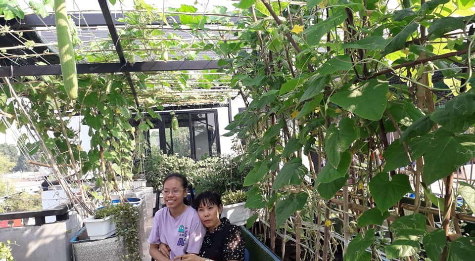 Hồ sen trên sân thượng ai ngắm cũng mê của ông bố 4 con - Ảnh 10. Hồ sen trên sân thượng ai ngắm cũng mê của ông bố 4 con - Ảnh 10.