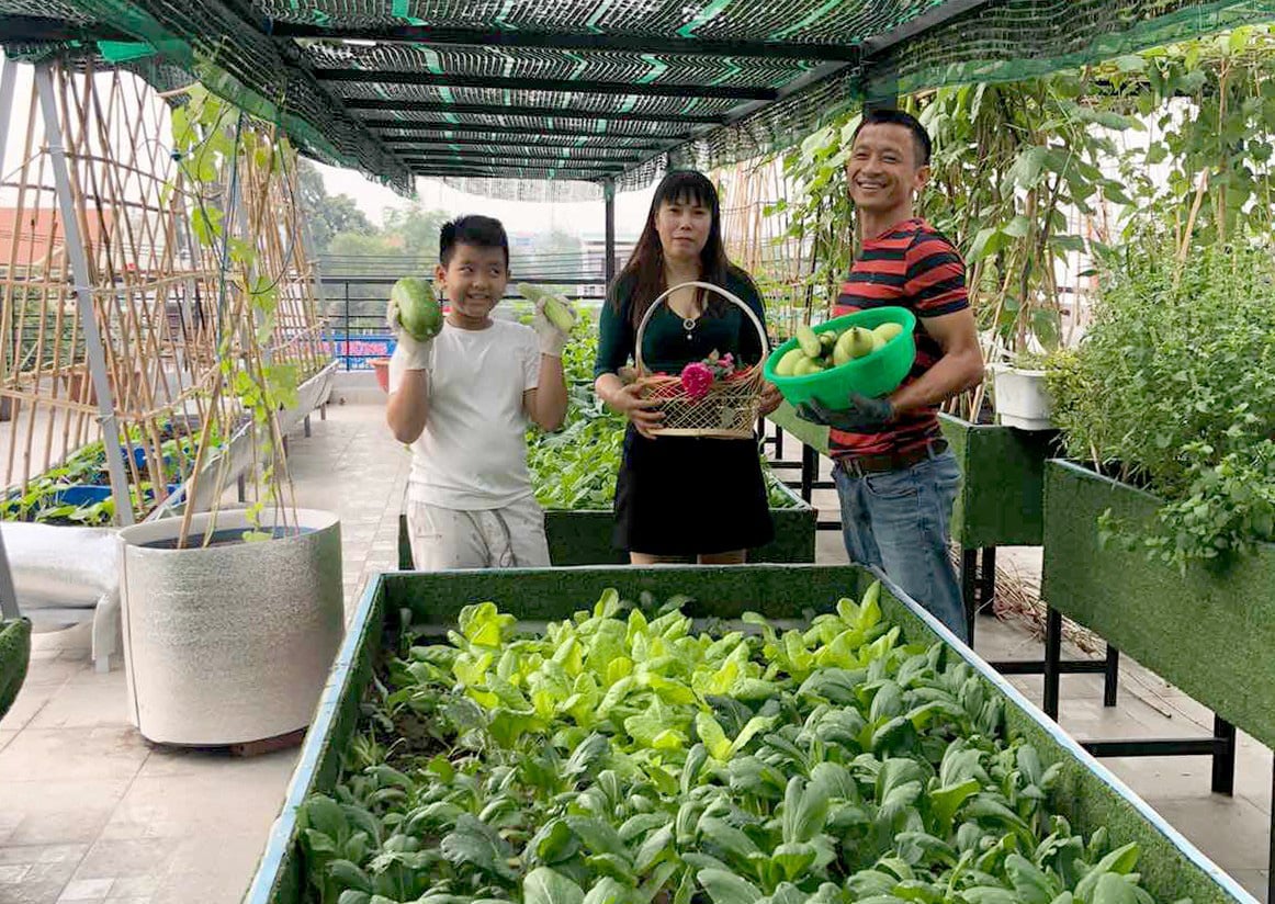 Hồ sen trên sân thượng ai ngắm cũng mê của ông bố 4 con - Ảnh 2. Hồ sen trên sân thượng ai ngắm cũng mê của ông bố 4 con - Ảnh 2.