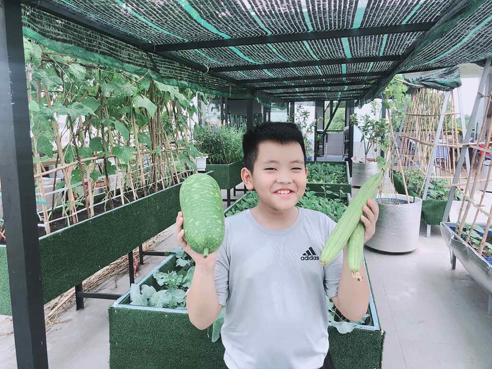 Hồ sen trên sân thượng ai ngắm cũng mê của ông bố 4 con - Ảnh 6. Hồ sen trên sân thượng ai ngắm cũng mê của ông bố 4 con - Ảnh 6.