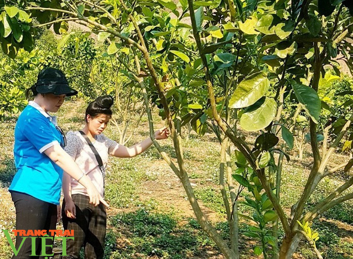 Nông thôn mới Mai Sơn- Phụ nữ làm chủ thể - Ảnh 1. Nông thôn mới Mai Sơn- Phụ nữ làm chủ thể - Ảnh 1.