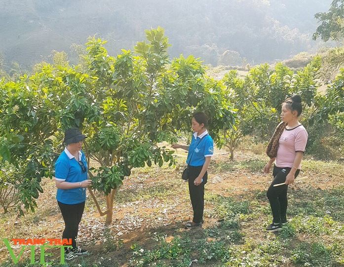 Nông thôn mới Mai Sơn- Phụ nữ làm chủ thể - Ảnh 4. Nông thôn mới Mai Sơn- Phụ nữ làm chủ thể - Ảnh 4.