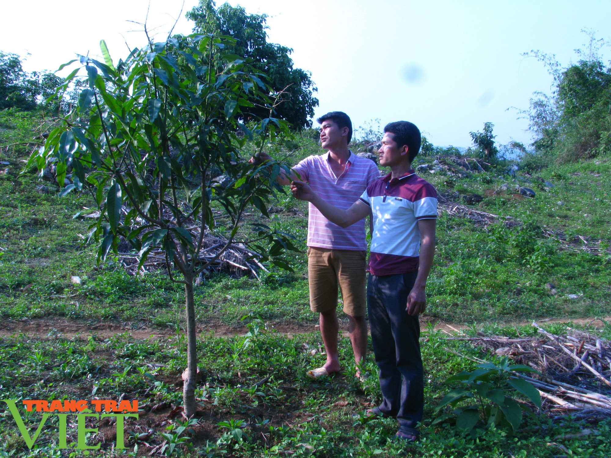 Nông thôn mới Sơn La: Chiềng Ngàm hôm nay - Ảnh 4. Nông thôn mới Sơn La: Chiềng Ngàm hôm nay - Ảnh 4.