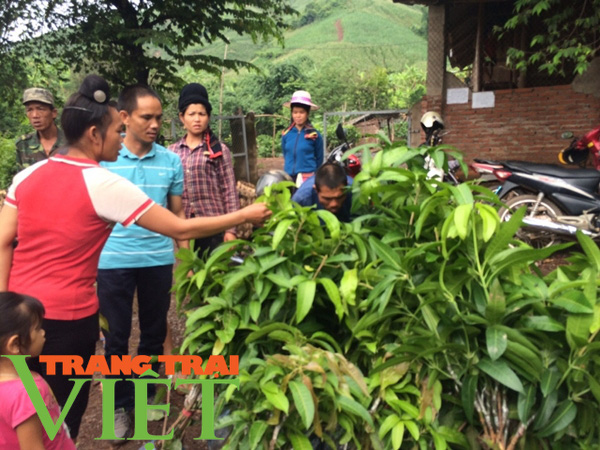 Hội Nông dân Yên Châu: Điểm tựa giúp hội viên phát triển kinh tế - Ảnh 1. Hội Nông dân Yên Châu: Điểm tựa giúp hội viên phát triển kinh tế - Ảnh 1.