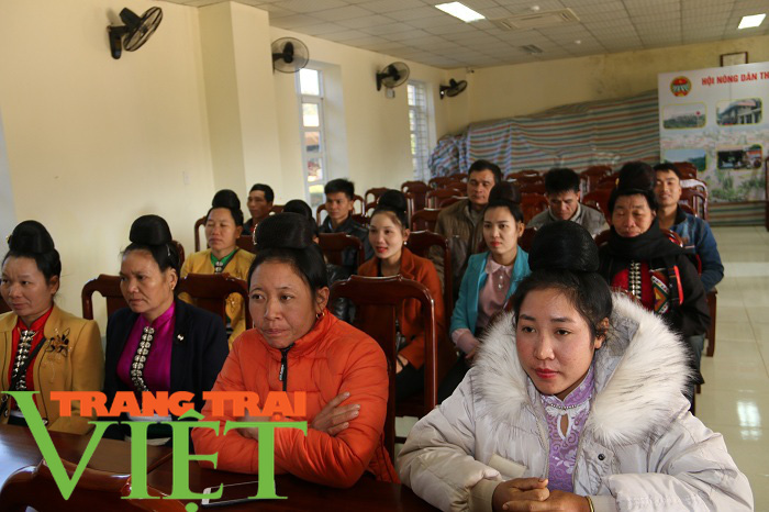 Hội Nông dân Yên Châu: Điểm tựa giúp hội viên phát triển kinh tế - Ảnh 2. Hội Nông dân Yên Châu: Điểm tựa giúp hội viên phát triển kinh tế - Ảnh 2.