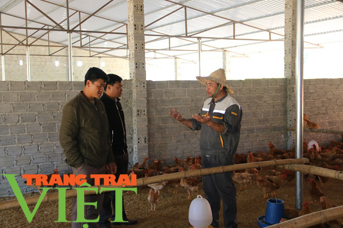 Hội Nông dân Yên Châu: Điểm tựa giúp hội viên phát triển kinh tế - Ảnh 4. Hội Nông dân Yên Châu: Điểm tựa giúp hội viên phát triển kinh tế - Ảnh 4.