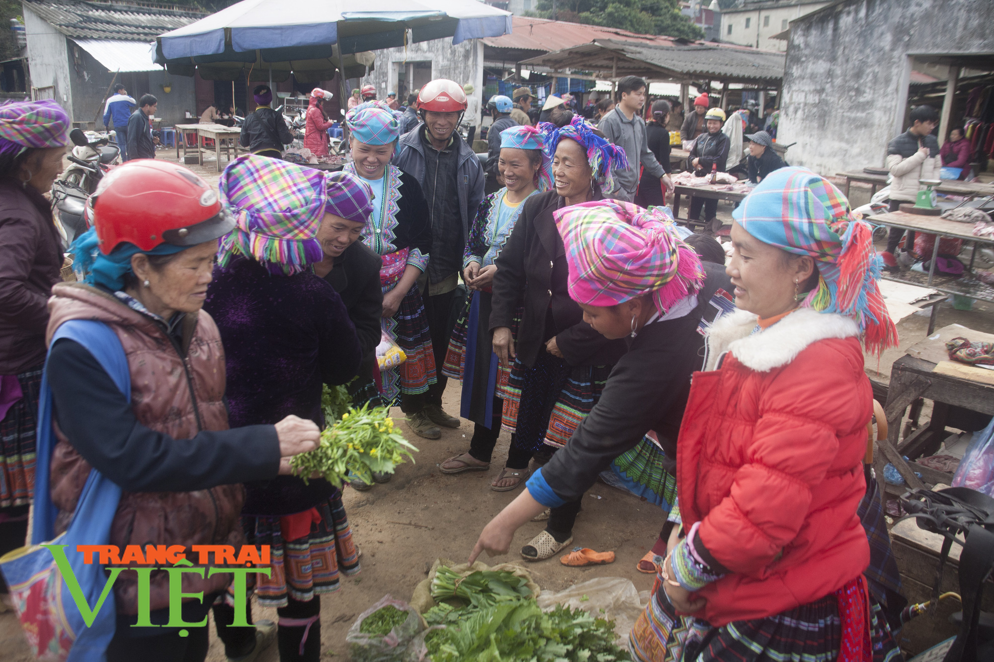 Thành phố Lai Châu chú trọng phát triển dịch vụ du lịch - Ảnh 3. Thành phố Lai Châu chú trọng phát triển dịch vụ du lịch - Ảnh 3.