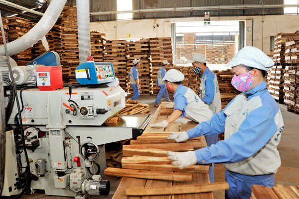 Chủ tịch VCCI: Nhanh một ngày doanh nghiệp sống, chậm một ngày có thể 'băng hà' - Ảnh 1. Chủ tịch VCCI: Nhanh một ngày doanh nghiệp sống, chậm một ngày có thể 'băng hà' - Ảnh 1.