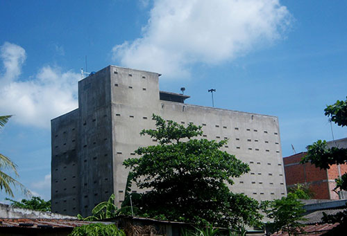 Bình Thuận: Ham lời khủng, nhà nuôi chim tiền tỷ "mọc" lung tung - Ảnh 2. Bình Thuận: Ham lời khủng, nhà nuôi chim tiền tỷ "mọc" lung tung - Ảnh 2.