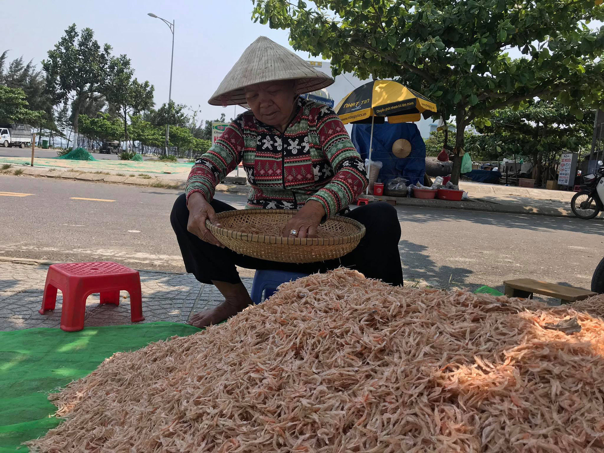 Phơi ruốc biển - Ảnh 4. Phơi ruốc biển - Ảnh 4.
