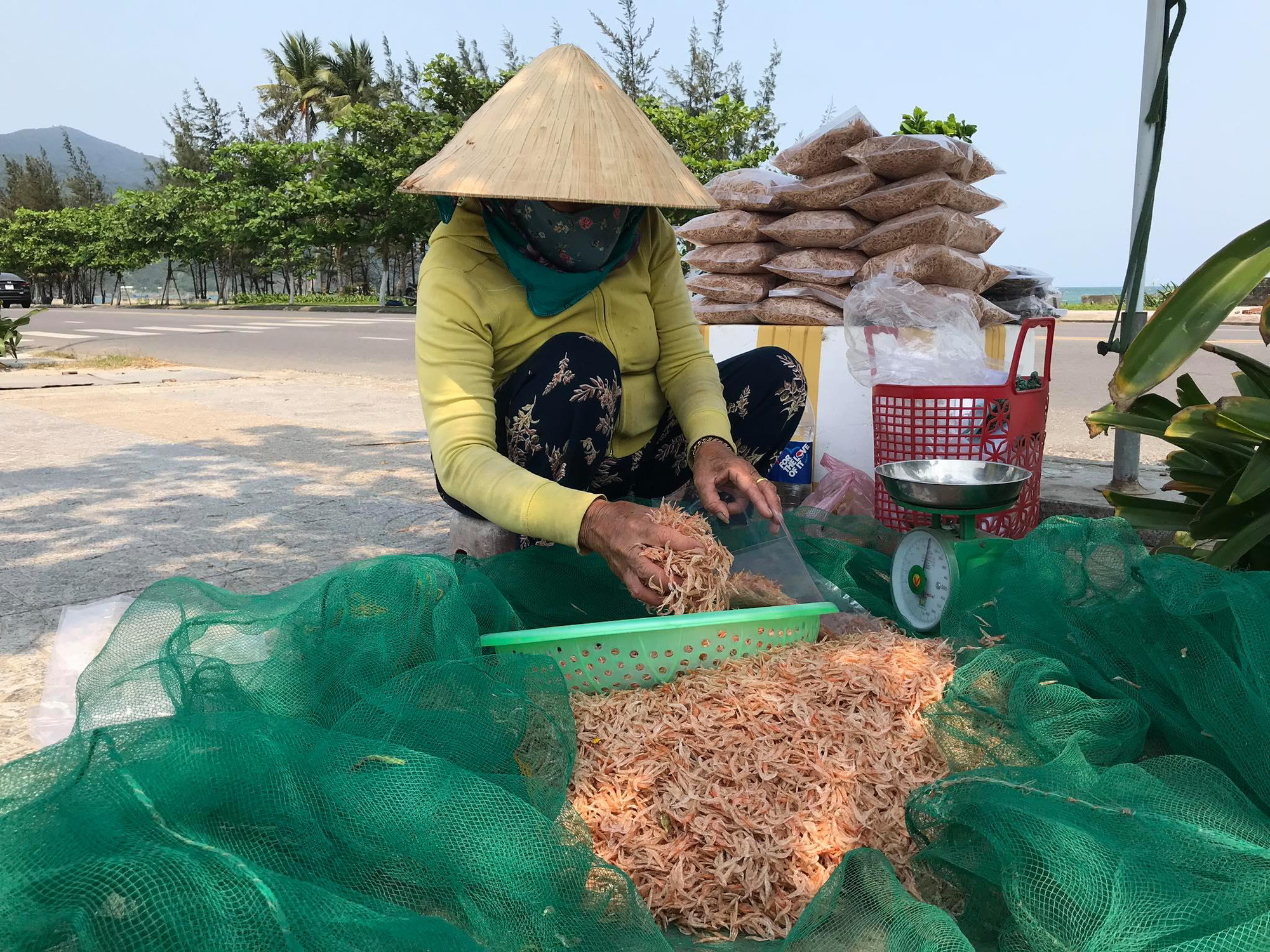 Phơi ruốc biển - Ảnh 5. Phơi ruốc biển - Ảnh 5.
