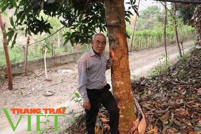 Nông thôn mới Sơn La: Lan tỏa phong trào hiến đất làm đường ở Tạ Bú - Ảnh 3.