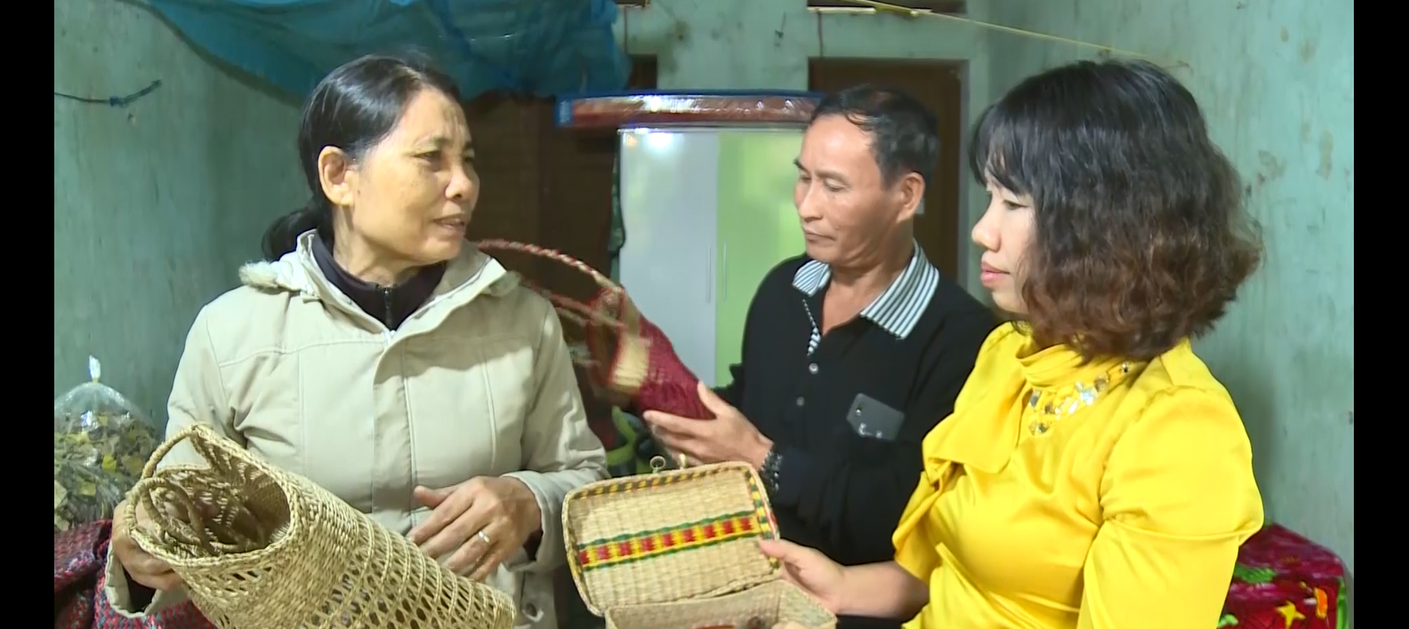 Dắt díu 7 người con rời quê hương, người phụ nữ giàu lên nhờ trồng cói trên rừng - Ảnh 1. Dắt díu 7 người con rời quê hương, người phụ nữ giàu lên nhờ trồng cói trên rừng - Ảnh 1.