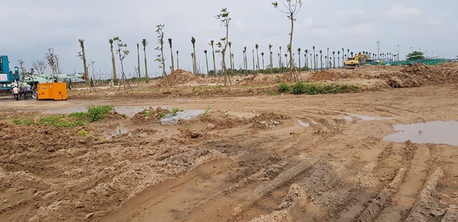 Hưng Yên tiếp tục xử lý loạt DN san lấp trái phép đất trồng lúa - Ảnh 1. Hưng Yên tiếp tục xử lý loạt DN san lấp trái phép đất trồng lúa - Ảnh 1.