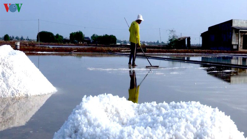 Nắng hạn kéo dài, người làm muối Bạc Liêu trúng mùa - Ảnh 1. Nắng hạn kéo dài, người làm muối Bạc Liêu trúng mùa - Ảnh 1.