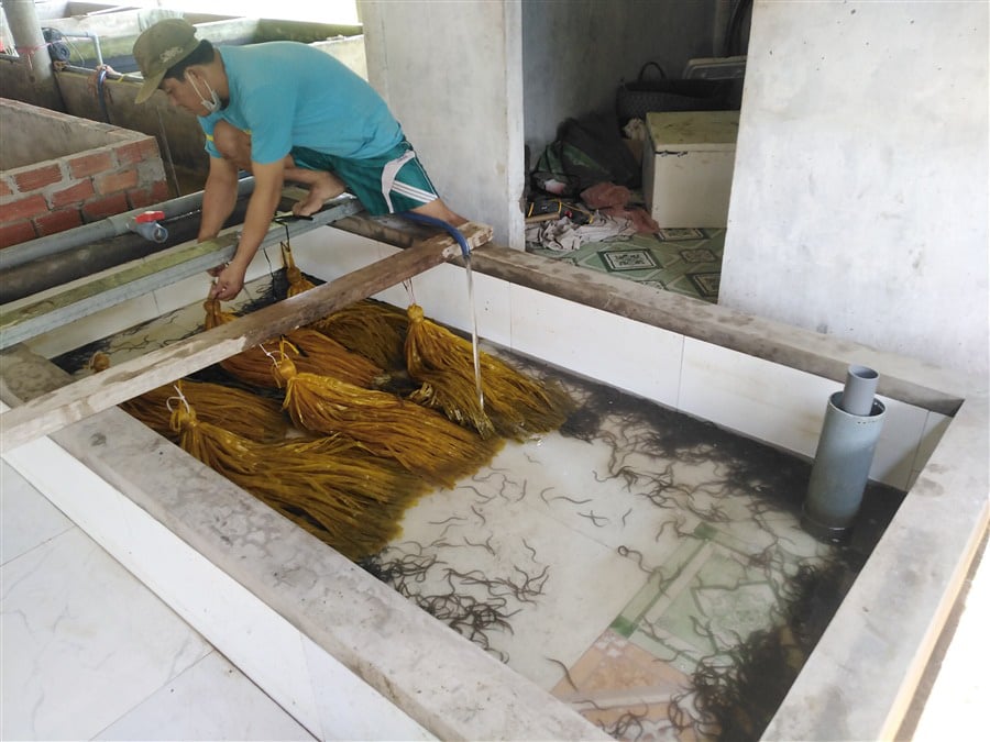 Độc đáo: Nuôi nhung nhúc lươn giống bằng trùn quế, bán 1 con bé tý với giá 5 ngàn đồng - Ảnh 1.