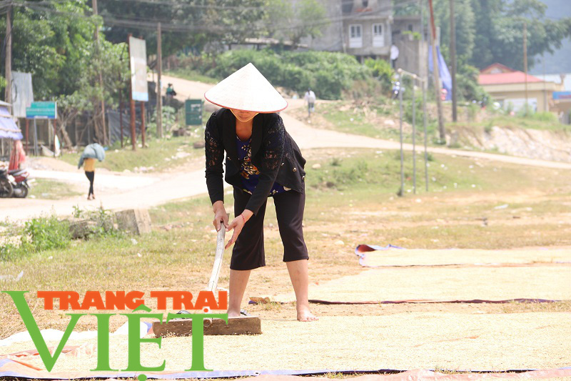 Tân Lạc tập trung xóa đói giảm nghèo ở các xã đặc biệt khó khăn - Ảnh 7.
