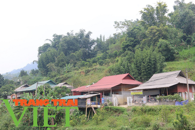 Tân Lạc tập trung xóa đói giảm nghèo ở các xã đặc biệt khó khăn - Ảnh 3.