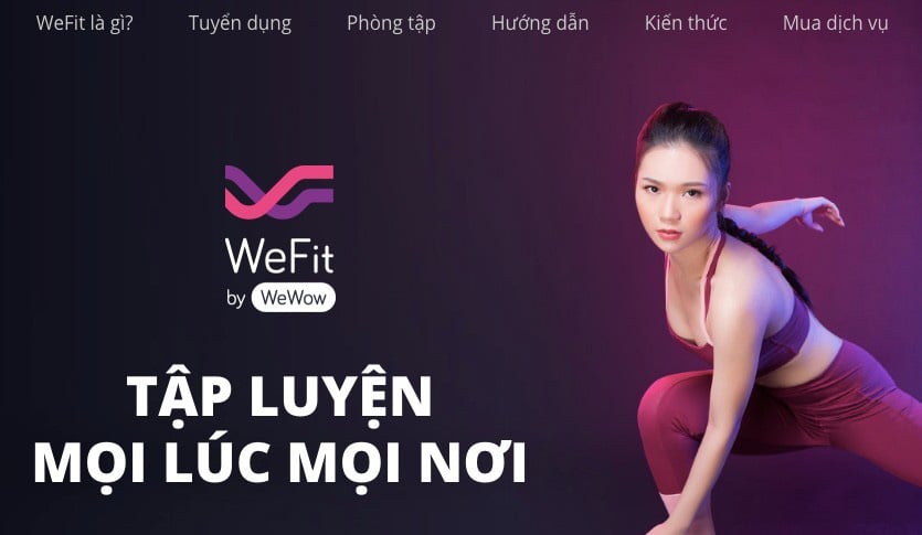 Vì đâu "kỳ lân" Wefit phá sản? - Ảnh 1. Vì đâu "kỳ lân" Wefit phá sản? - Ảnh 1.