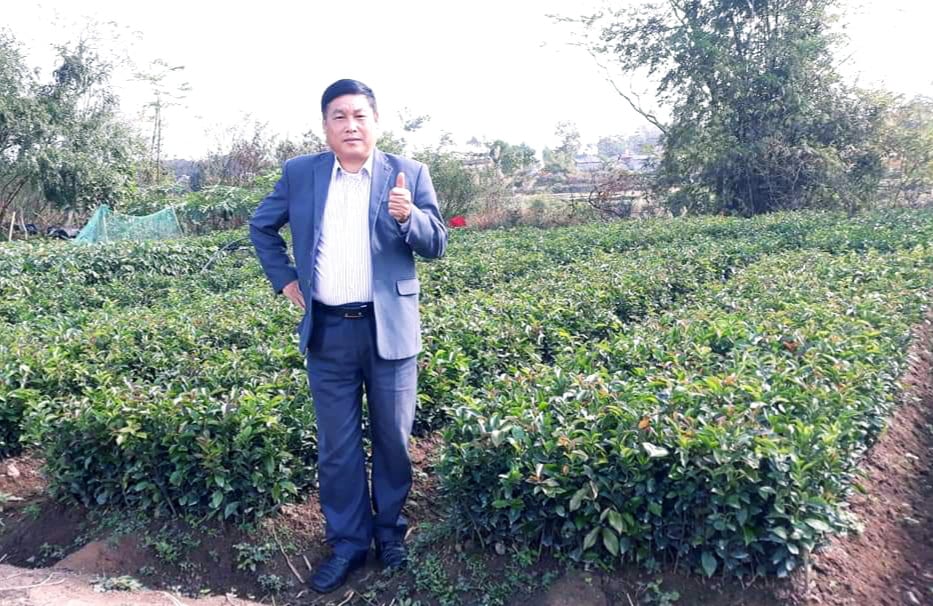 Bộ đội nghỉ hưu tiếc đồi rừng, mê làm giàu từ giống cây họ chè - Ảnh 3.