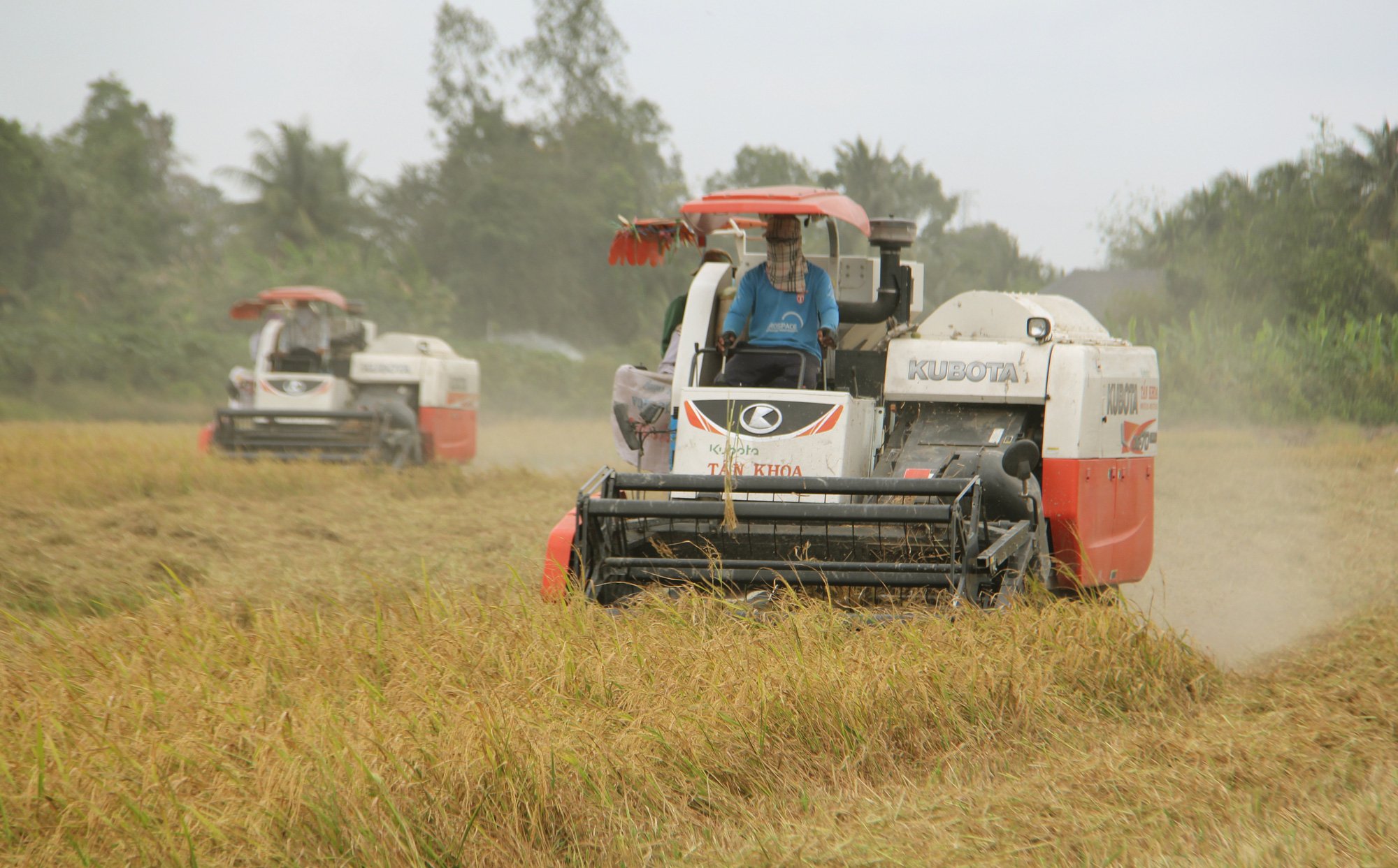 Vĩnh Long đầu tư xây dựng bảo tàng nông nghiệp 400 tỷ, chuyên gia nói chưa đúng thời điểm - Ảnh 2.