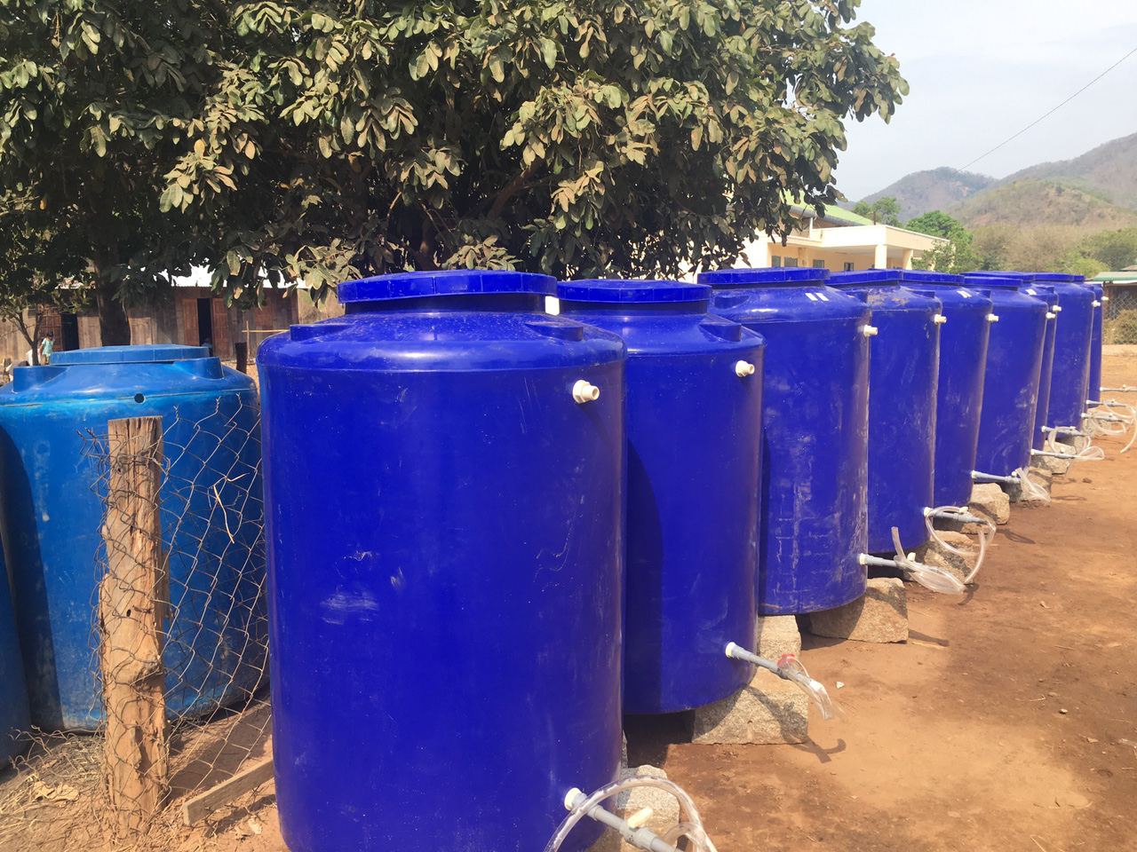 Hạn hán khốc liệt, dân Ninh Thuận mang can nhựa “cõng” nước về nhà - Ảnh 7.