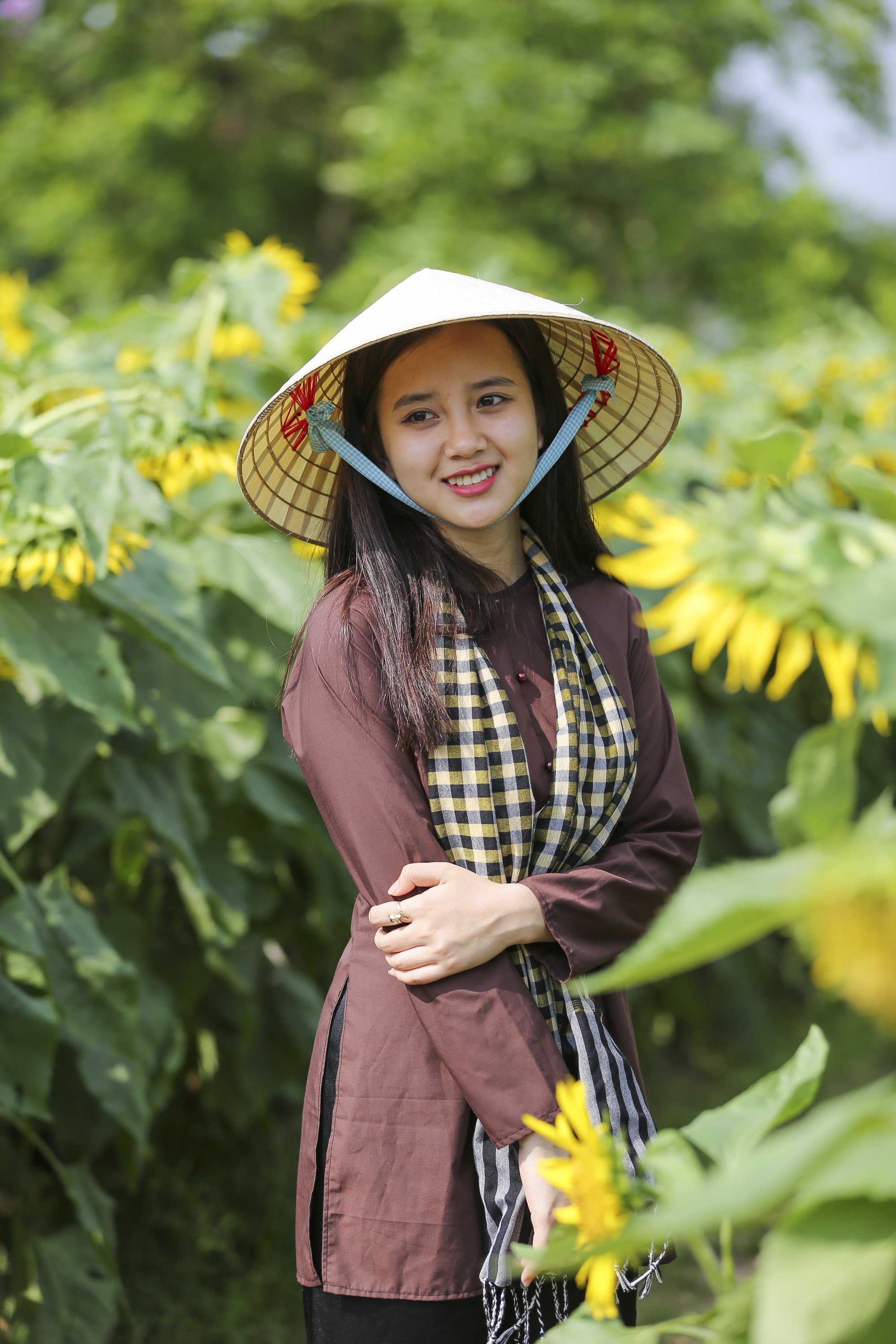 Hoa hướng dương tuyệt đẹp, giới trẻ đổ xô đến chụp ảnh - Ảnh 3.