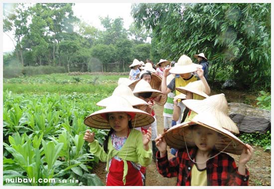 Hà Nội “se duyên” nông nghiệp với du lịch sinh thái - Ảnh 2.
