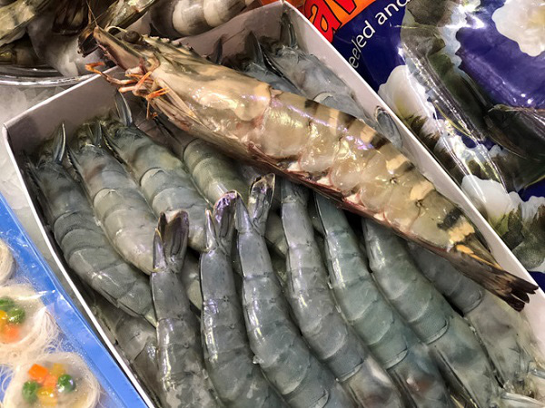 Tôm xuất khẩu sang Úc phải rút bỏ chỉ lưng - Ảnh 1. Tôm xuất khẩu sang Úc phải rút bỏ chỉ lưng - Ảnh 1.