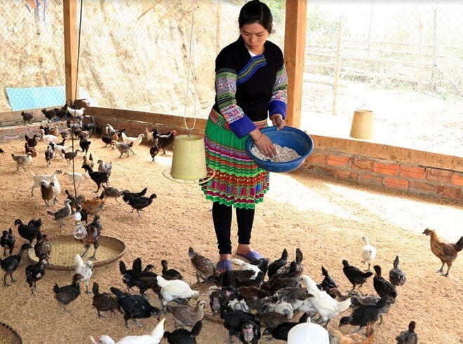 Nhân điển hình sản xuất giỏi trong nông dân - Ảnh 1.