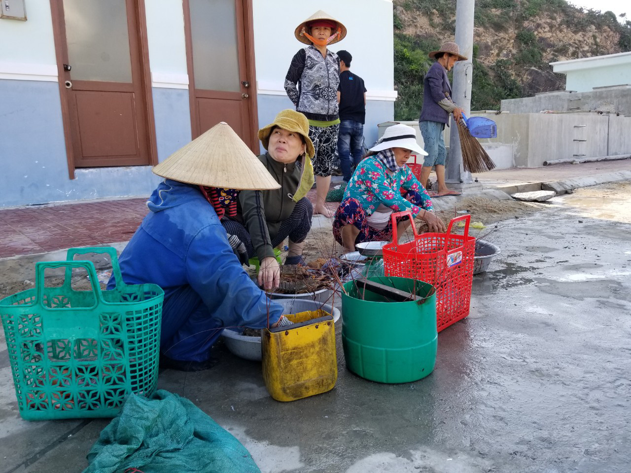 Thả lưới ở rạn san hô chết, ai ngờ trúng đậm mẻ cá chuồn bay, tôm hùm biển - Ảnh 3. Thả lưới ở rạn san hô chết, ai ngờ trúng đậm mẻ cá chuồn bay, tôm hùm biển - Ảnh 3.