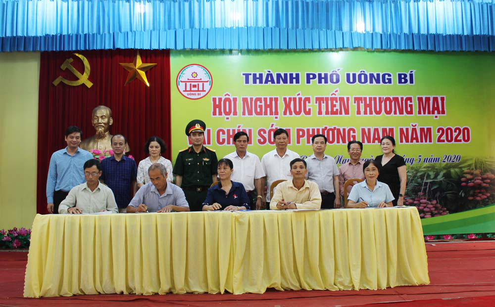 Quảng Ninh: Chi 13 tỷ để tăng giá trị cho quả vải chín sớm - Ảnh 3. Quảng Ninh: Chi 13 tỷ để tăng giá trị cho quả vải chín sớm - Ảnh 3.