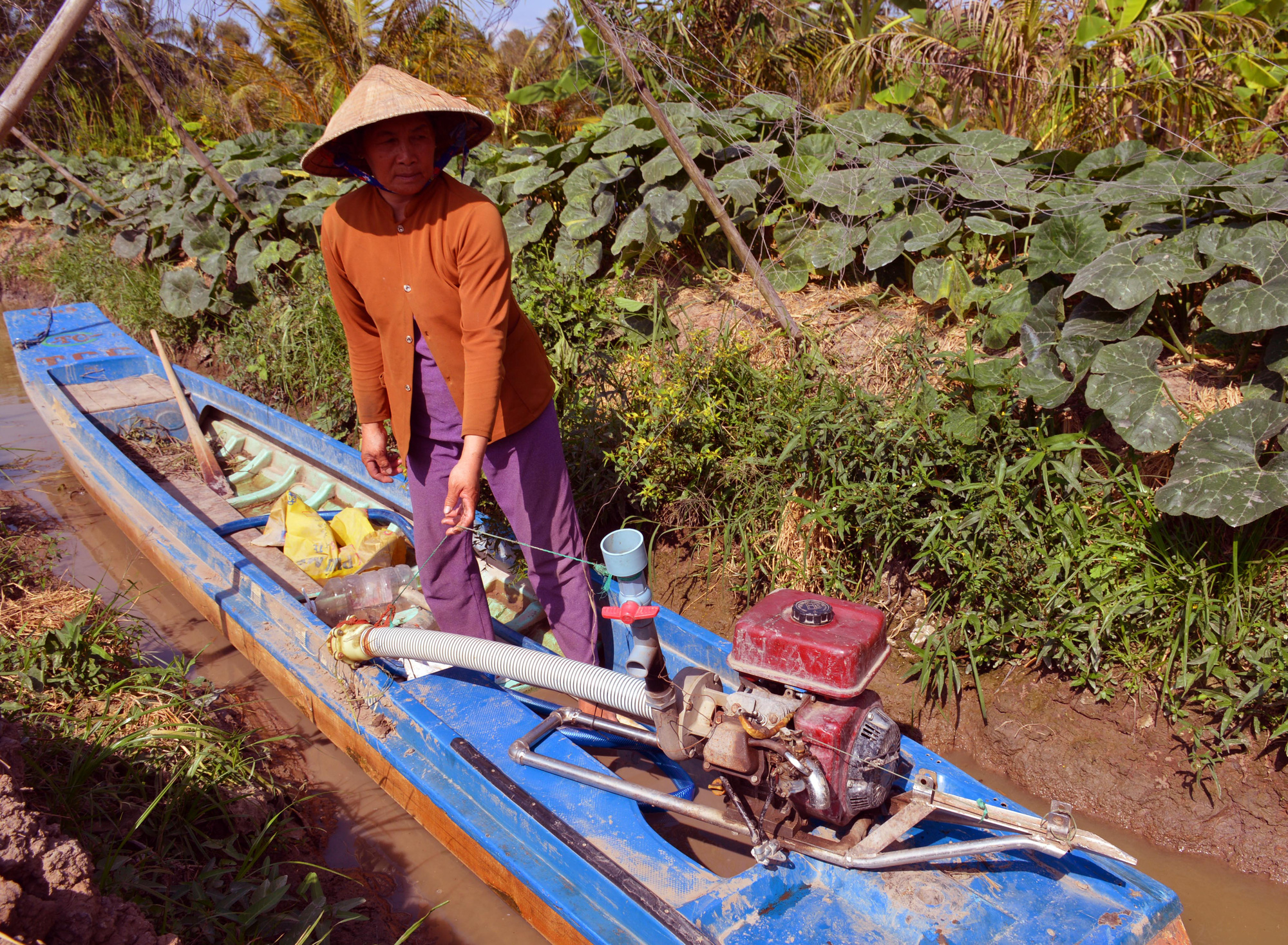 Kỳ 2: Người dân Đất Mũi điêu đứng do hạn hán - Ảnh 2.