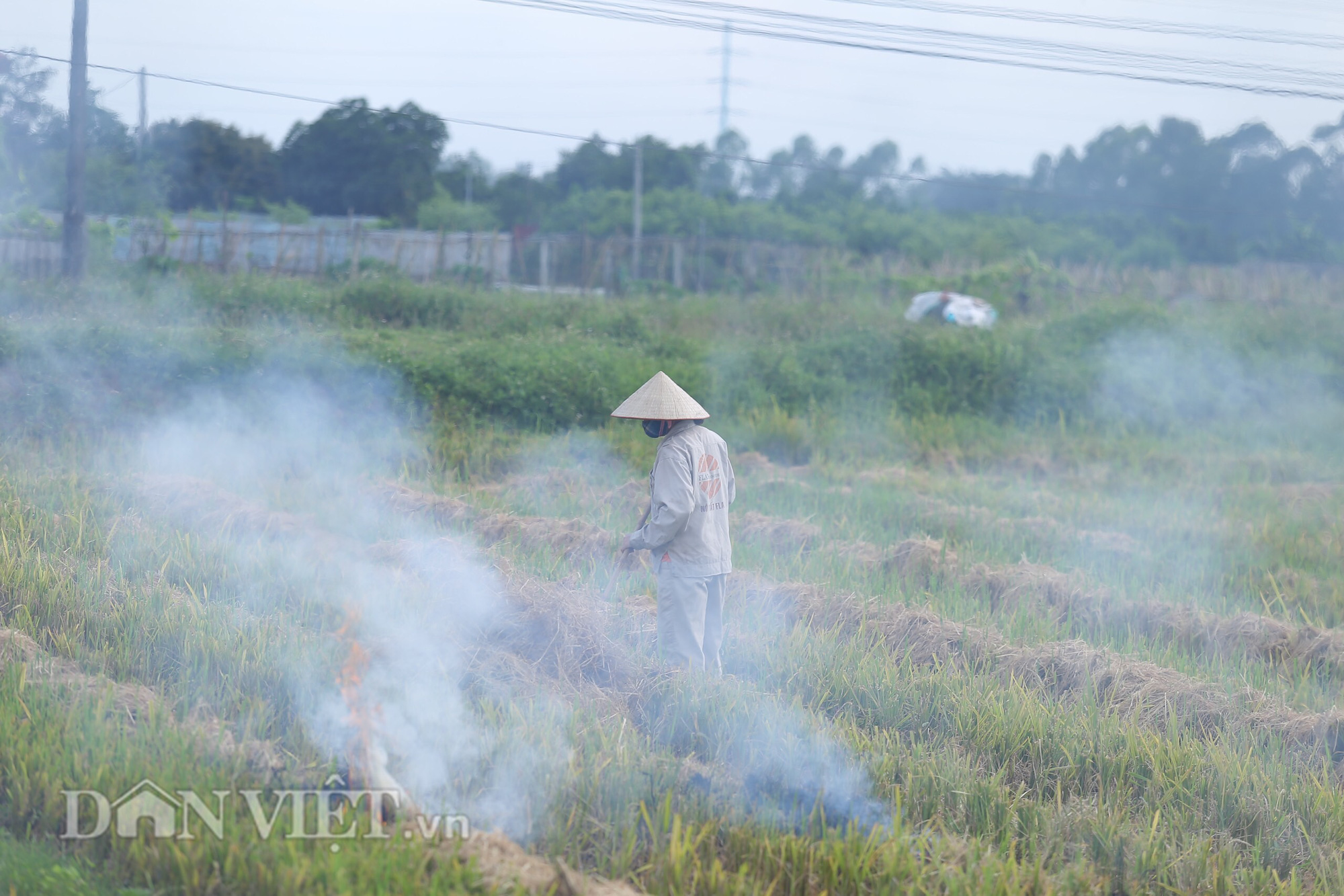 Khói trắng mù mịt bủa vây khu dân cư do người dân đốt rơm rạ - Ảnh 10.